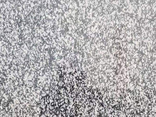 1696557669690089.jpg